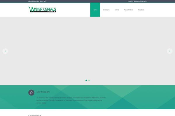 Sapphire theme site design template sample