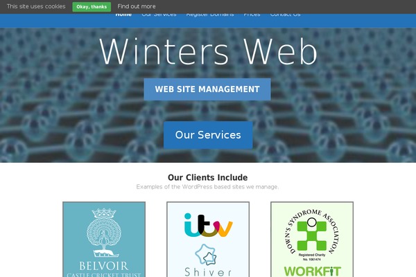 Divi Child theme site design template sample