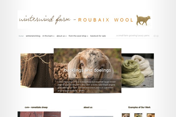 Modest theme site design template sample