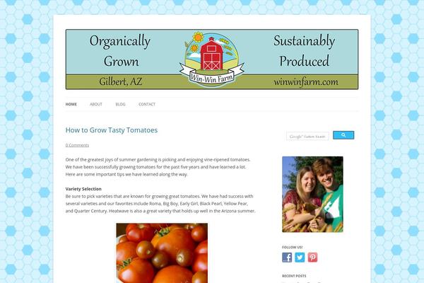Twentytwelve-child theme site design template sample