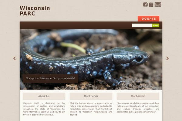 Earth theme site design template sample