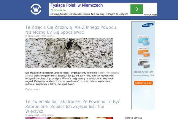 NewTek theme site design template sample