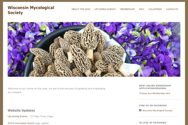 Yoko theme site design template sample