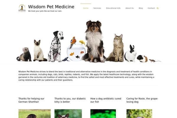 Ample theme site design template sample
