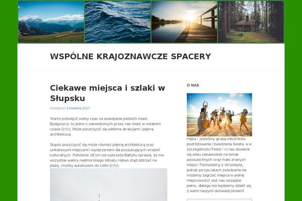 Edin theme site design template sample