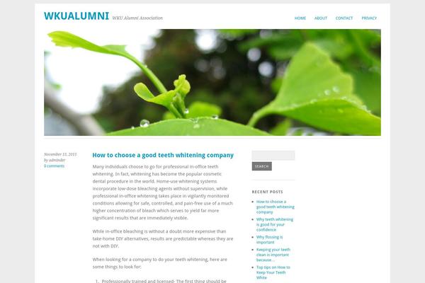 Yoko theme site design template sample