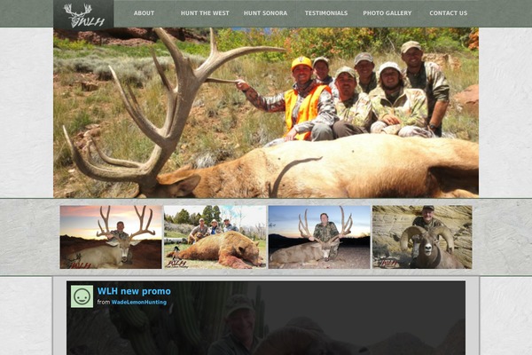 Shapely theme site design template sample