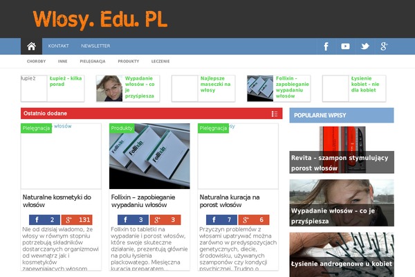 ProMax theme site design template sample