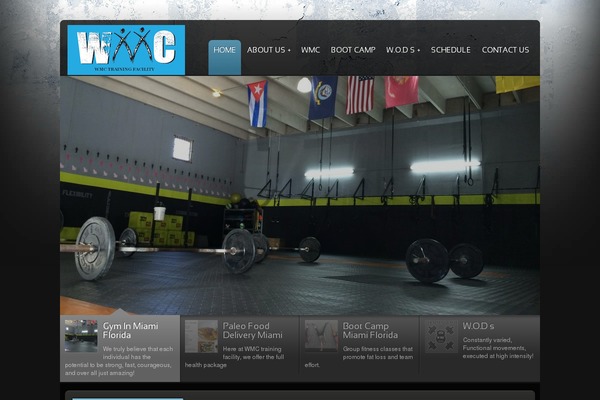 wmctrainingfacility.com site used Rt_nebulae_wp