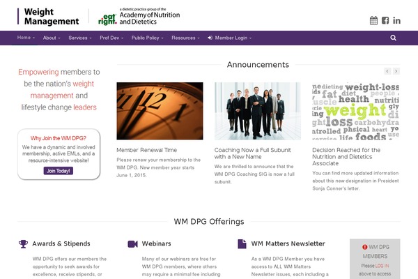 Incentive theme site design template sample