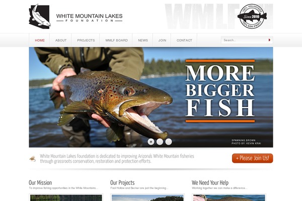 wmlf.org site used Cleanwide