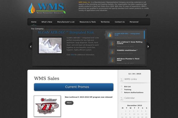 Polished theme site design template sample