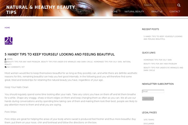 Meris theme site design template sample