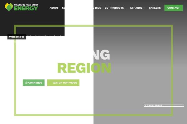 Pro theme site design template sample