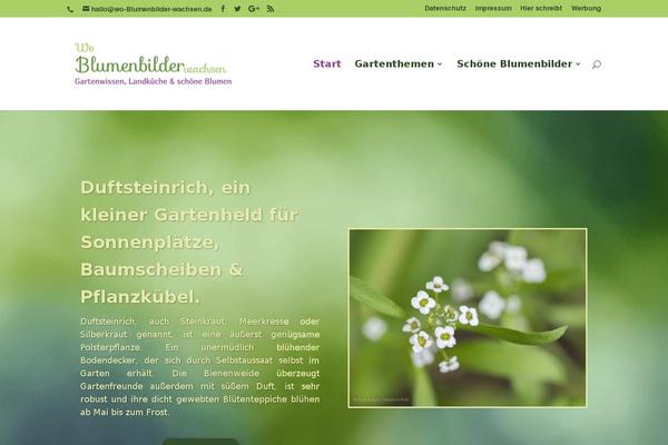 Site using Advanced-ads-tracking plugin