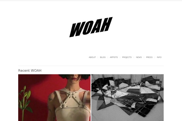 Site using Brankic Photostream Widget plugin