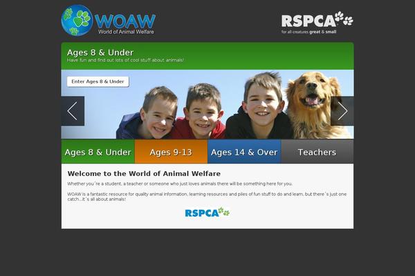 Eduma theme site design template sample