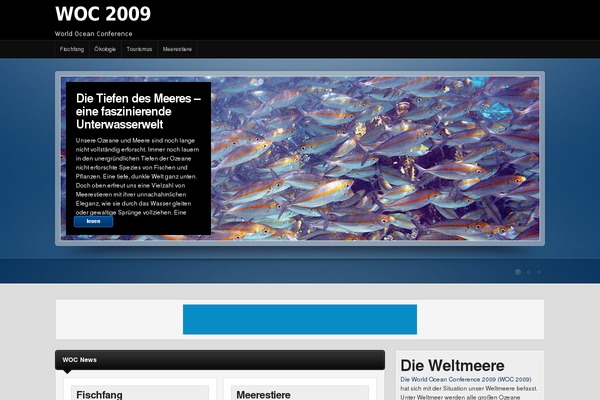 Site using Flash Clock Widget plugin