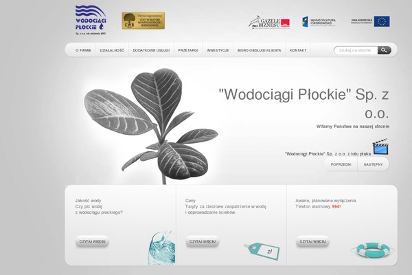 Site using Wp-responsive-table plugin