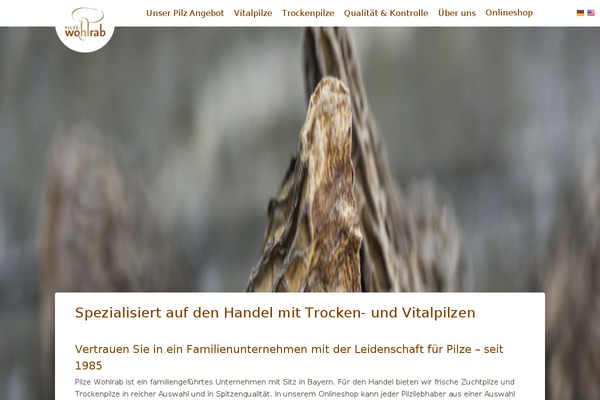 Amplus theme site design template sample