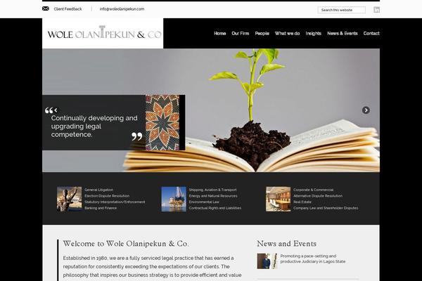 woleolanipekun.com site used Law_firm
