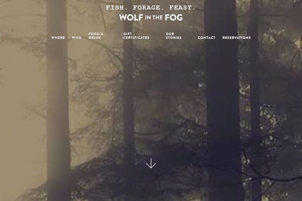 Site using Advanced Responsive Video Embedder plugin