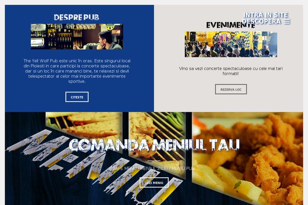 Spalon theme site design template sample