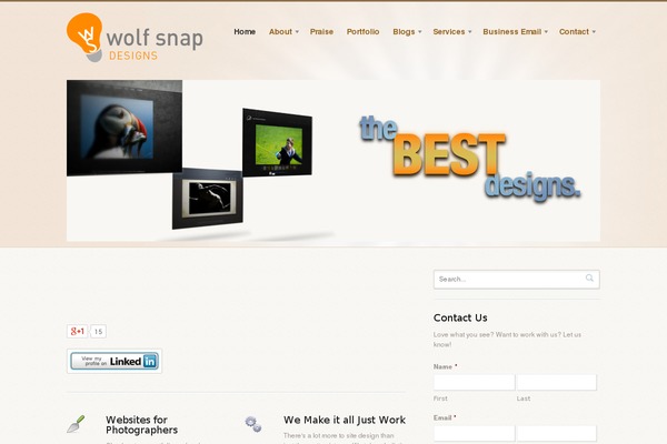 Biznizz theme site design template sample