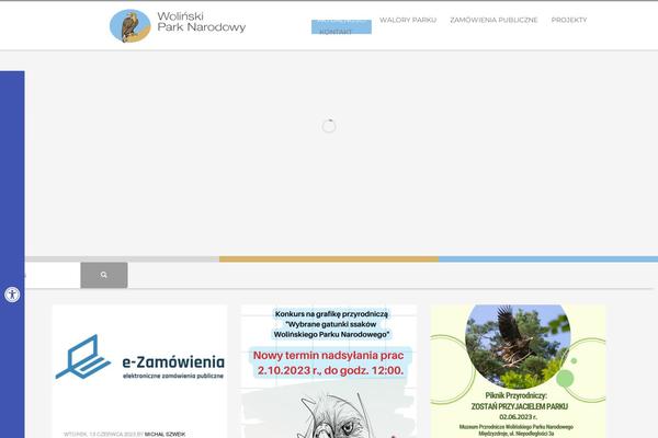 Kallyas theme site design template sample