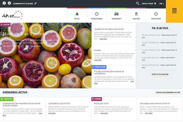 Site using Wp-views plugin