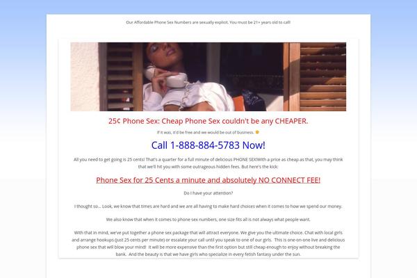 Twenty-plus-pro theme site design template sample