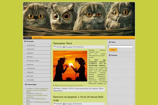 womanfeatures.ru site used Dizain