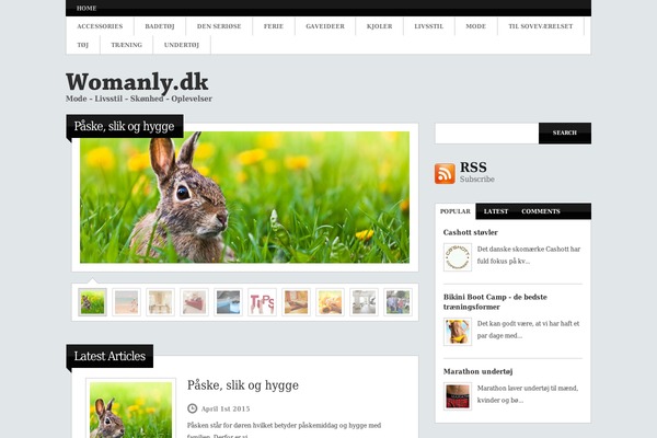 Websource theme site design template sample