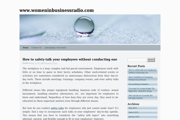 Silver Spot theme site design template sample