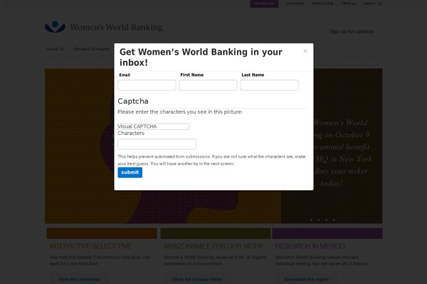 wwb WordPress theme, websites list used wwb theme wwb theme websites examples