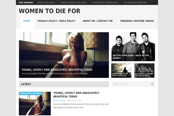 Point theme site design template sample