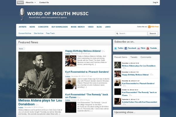 WordPress website example screenshot