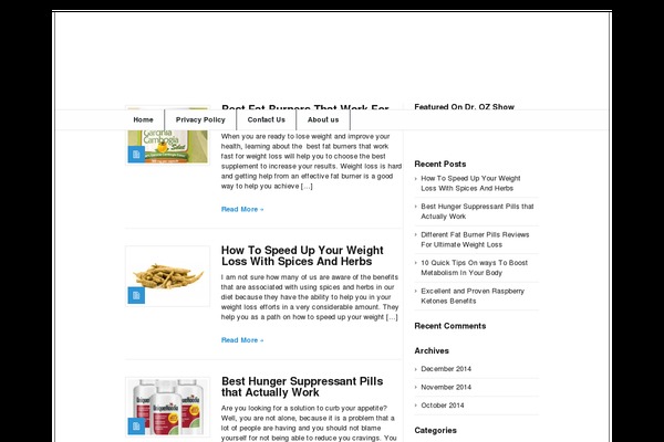 Socrates 4.0 theme site design template sample