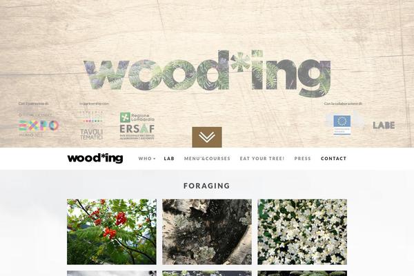 Nonus theme site design template sample