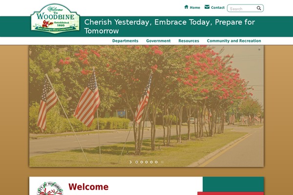 woodbinegeorgia.net site used Woodbine