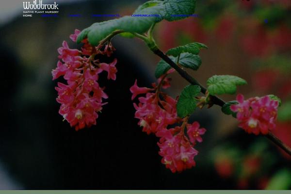 Site using Tj-extras plugin