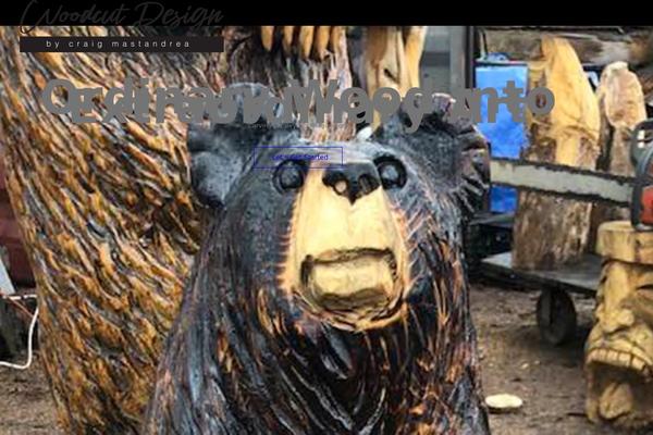 Site using Instagram-feed-pro plugin