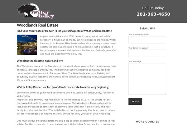 Winning Agent theme site design template sample
