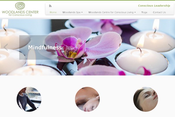 Customizr theme site design template sample