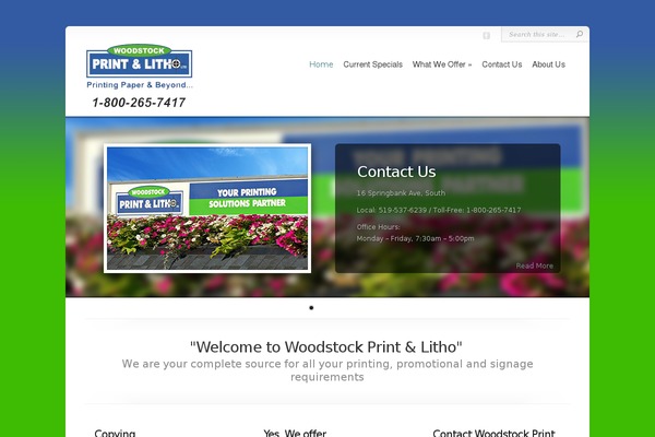 Chameleon Child theme site design template sample