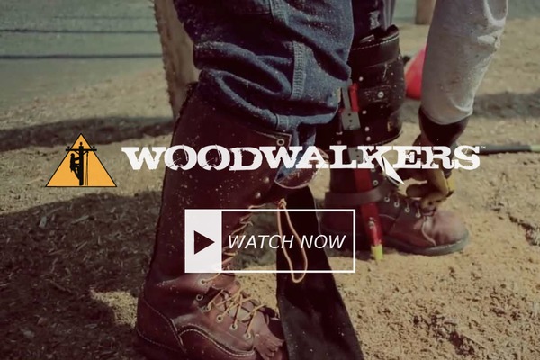 woodwalkers.com site used Sltc