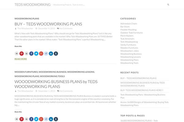 Ambition theme site design template sample