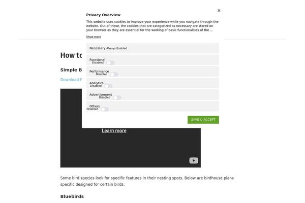 Chronus theme site design template sample