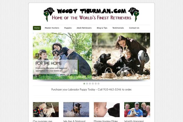Site using Fancy Image Show plugin