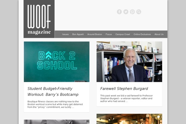 Perfect-magazine theme site design template sample